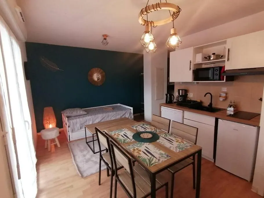 Appartement De La Marmotte Cendree, Dans Residence De Tourisme 3 Etoiles Lourdes Fransa